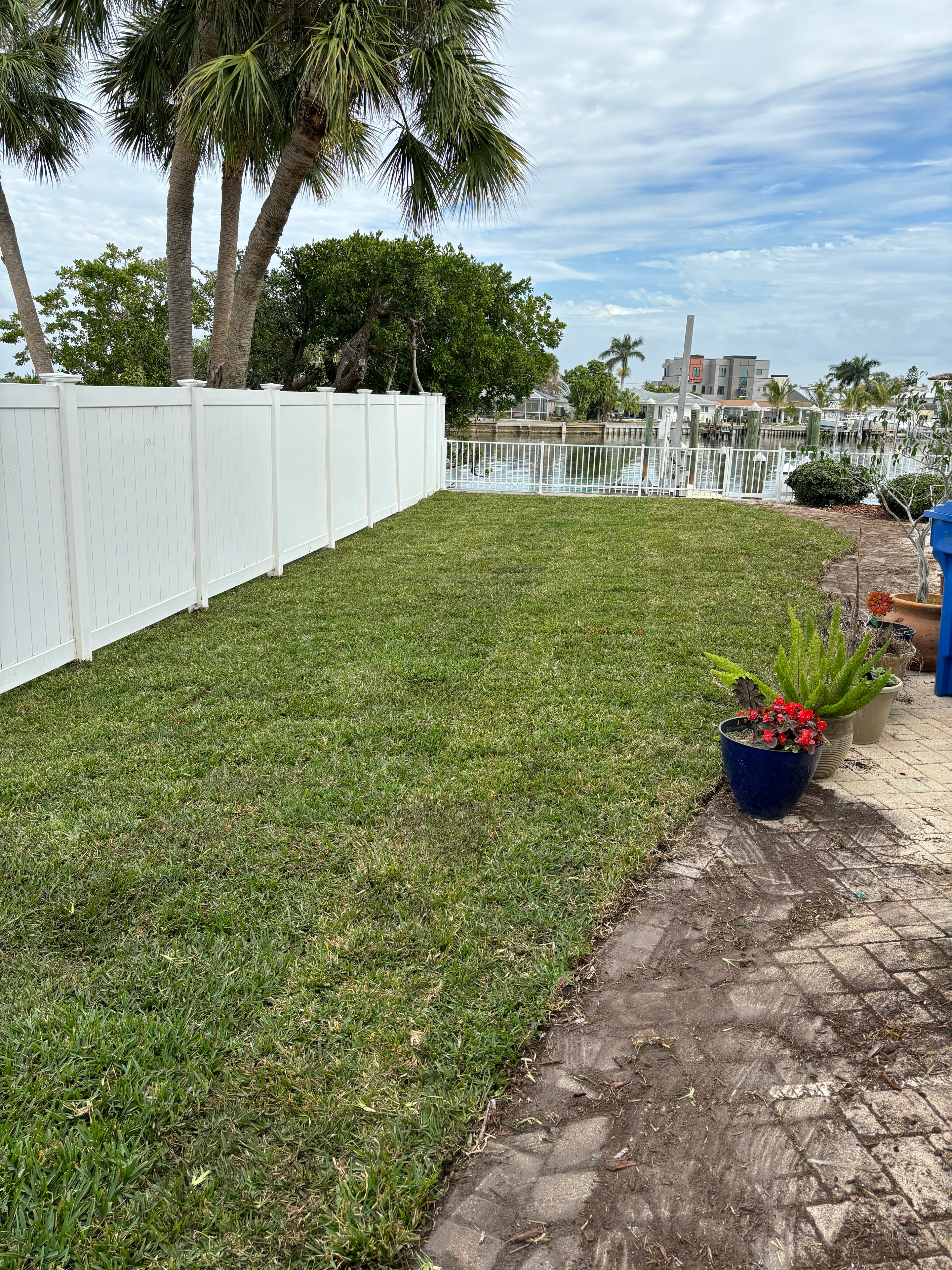 Sod Installation — Tampa Bay — After