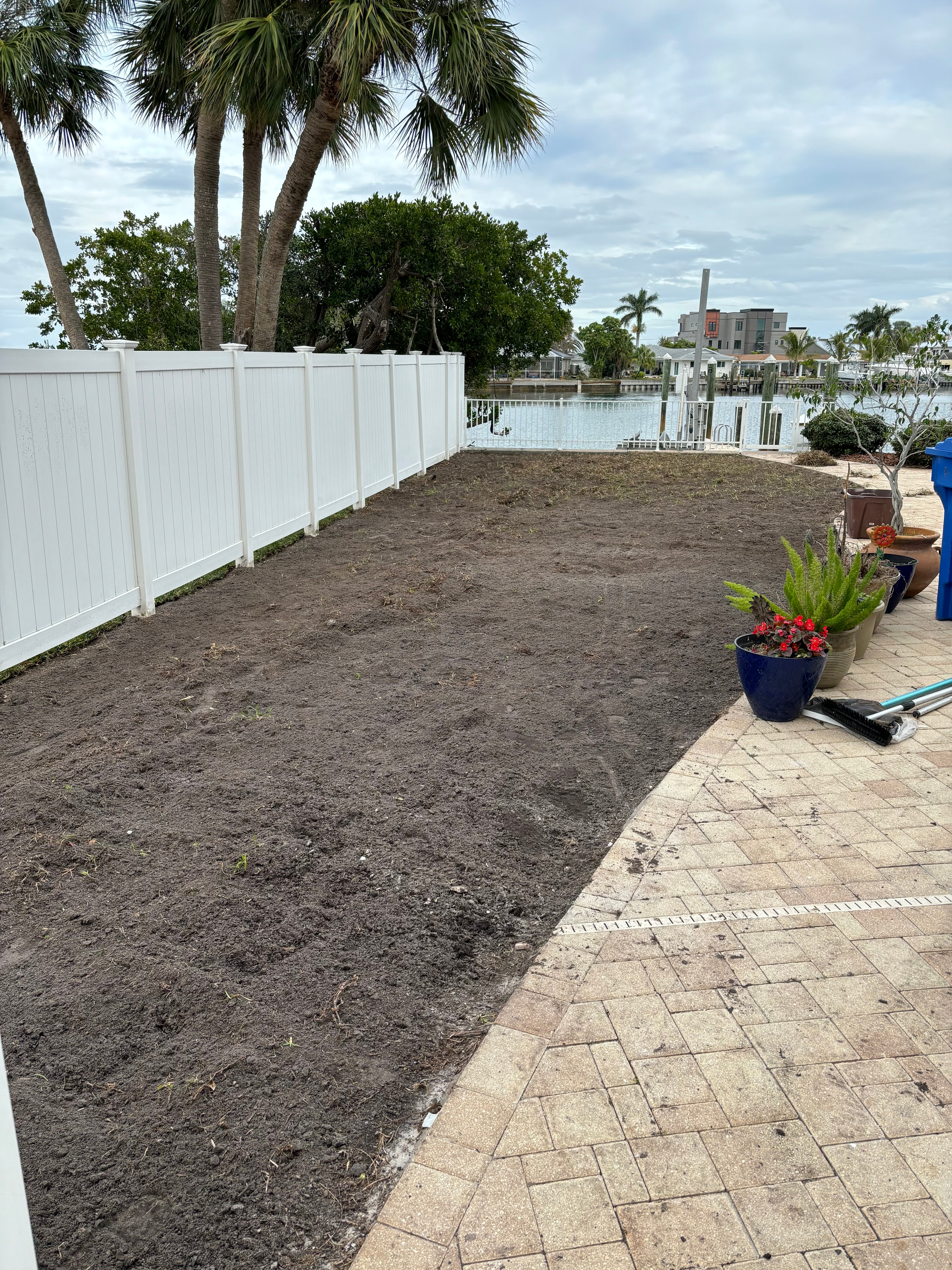 Sod Installation — Tampa Bay — Before